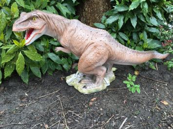 Dinosaurus, prachtige beeld van een Tyrannosaurus